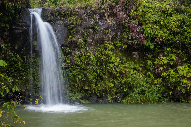 A small waterfall pouring into a pool along the Road to Hāna