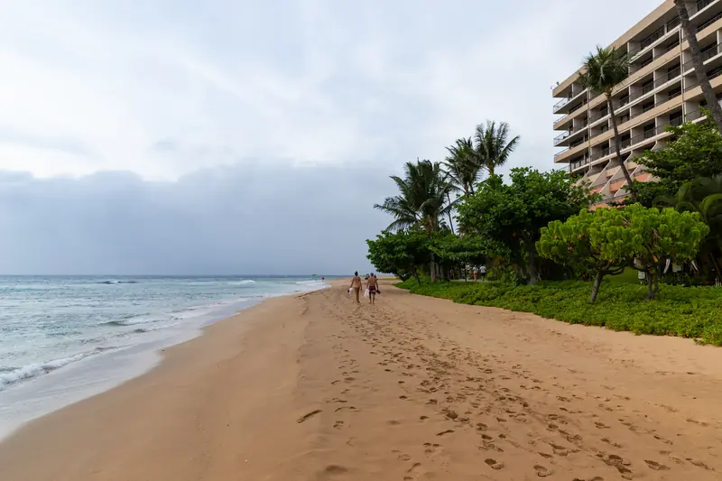 Kāʻanapali Beach in West Maui with palm trees and resort buildings
