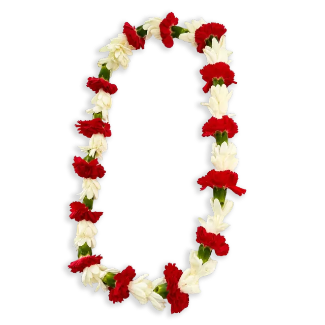 Example of a premium lei: red and white blooms