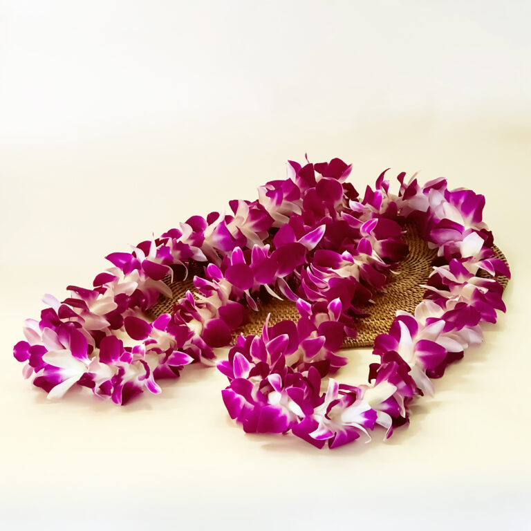 2 pack lei v2 768x768