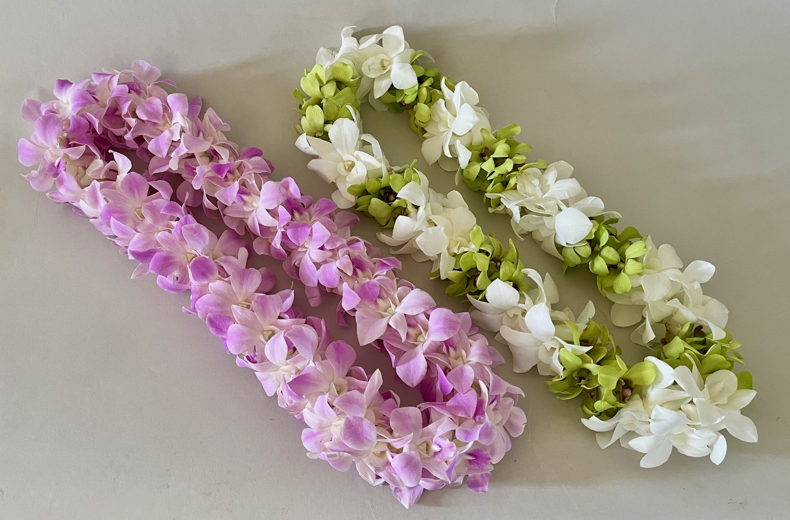 two double dendro lei img 3757 scaled