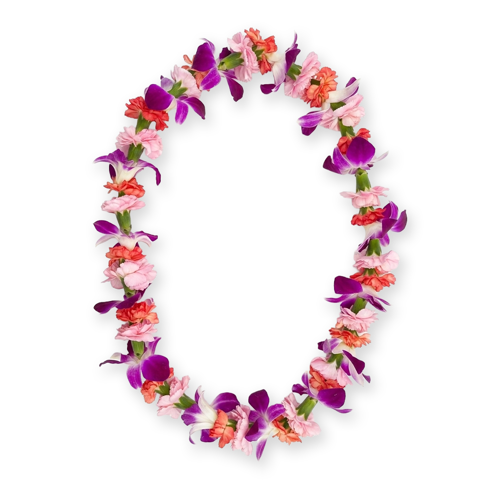 Premium Lei 2.1