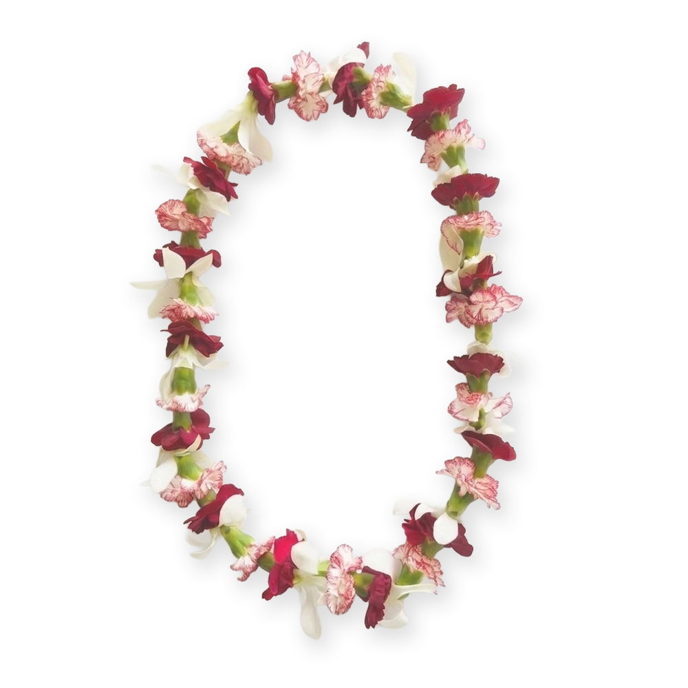 Premium Lei 3.1
