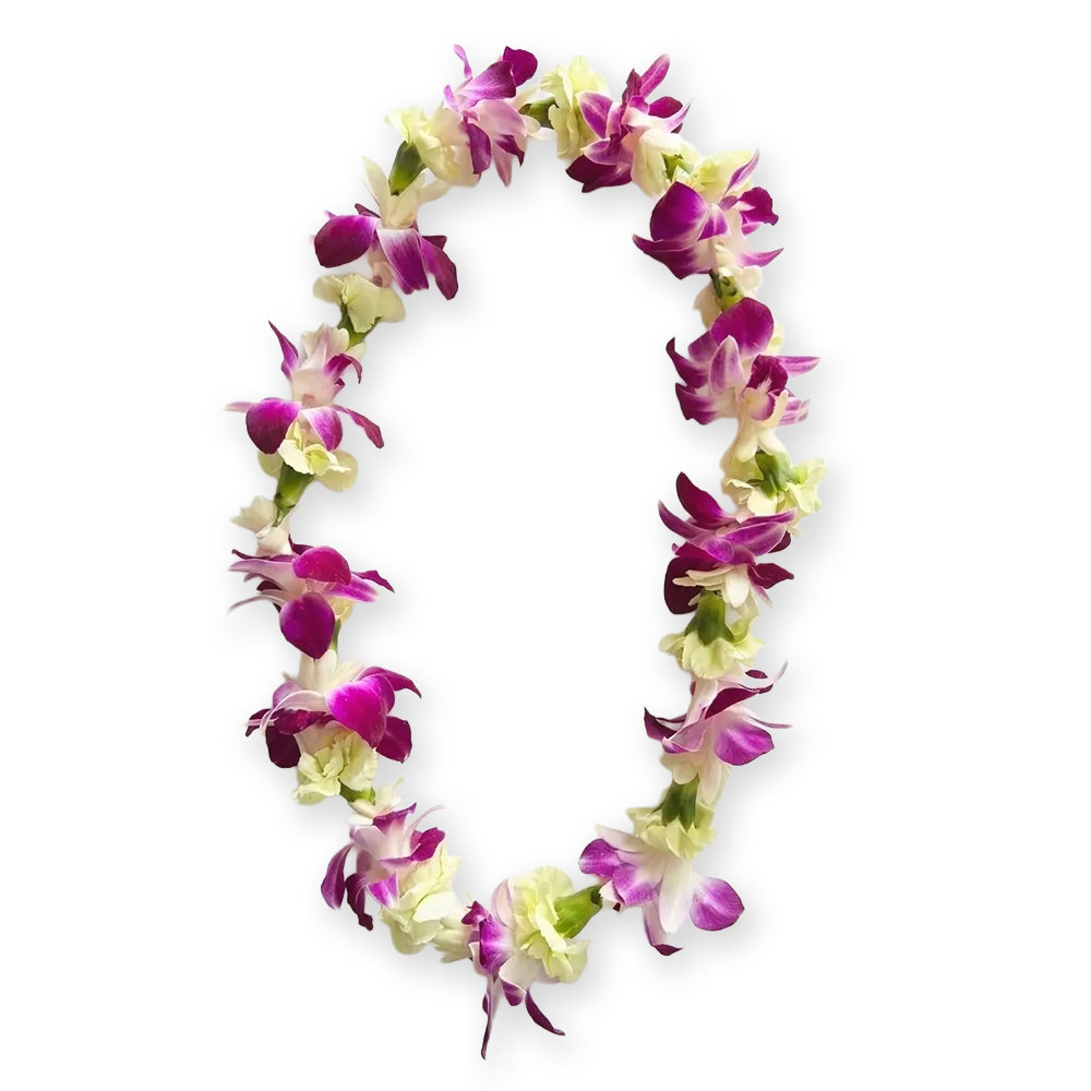 Premium Lei 4.1